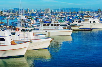 EB-5 Regional Center in California. Photo of San Diego marina with city in the background.